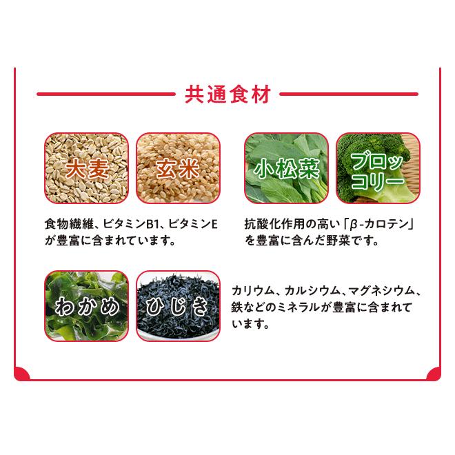 Smiley スマイリー ドッグフード 国産ポークdeli 5kg ×2個 一般食