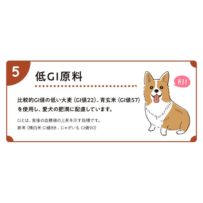 Smiley スマイリー ドッグフード 国産ポークdeli 5kg ×2個 一般食