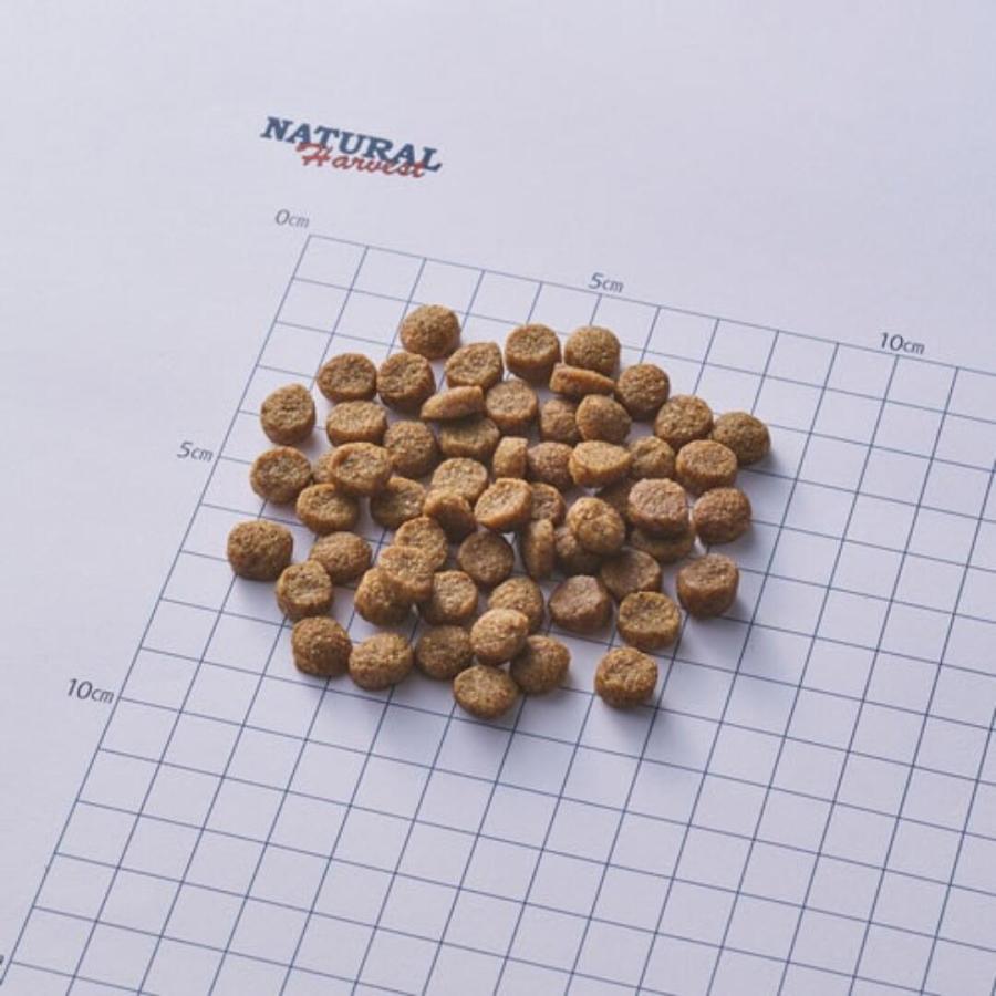 Natural Harvest フラックス 療法食 ドッグフード 中粒 ナチュラルハーベスト（NATURAL harvest） フラックス 結石ケア 1.1kg