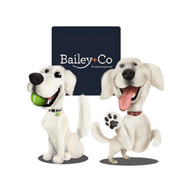 からだ想い Bailey+Co フリーズドライ コンプリート ビーフ 500g