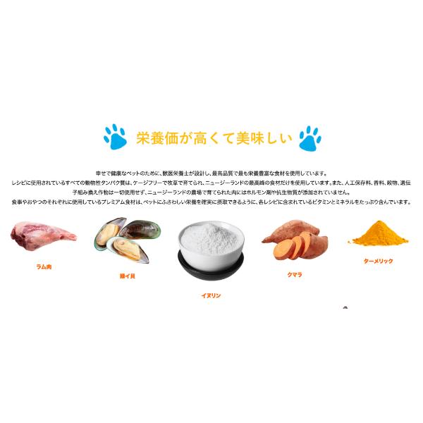 からだ想い Bailey+Co フリーズドライ コンプリート ビーフ 500g