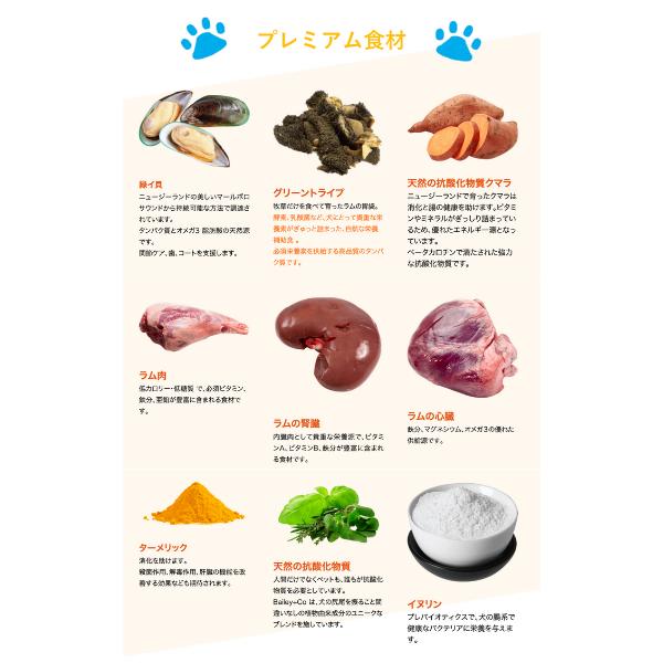 からだ想い Bailey+Co フリーズドライ コンプリート ビーフ 500g