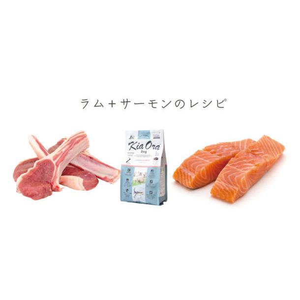 【フードローテーションSET】 KiaOra キアオラ 2種セット （ラム＆サーモン2.7kg＋ラム＆レバー2.5kg） 計2袋 全年齢用 ドッグフード 4963974021715_1