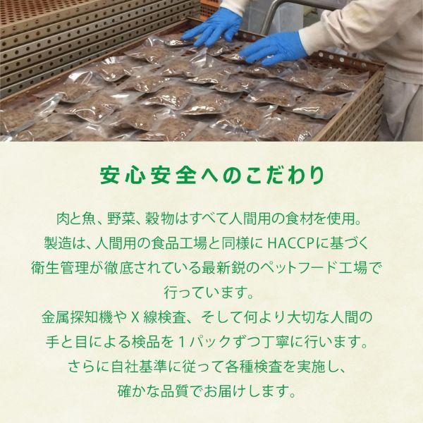 ヤムヤムヤム 馬肉 やわらかドライタイプ 800g ×2個 yum yum yum ! ドッグフード 全年齢 4571245859440の画像