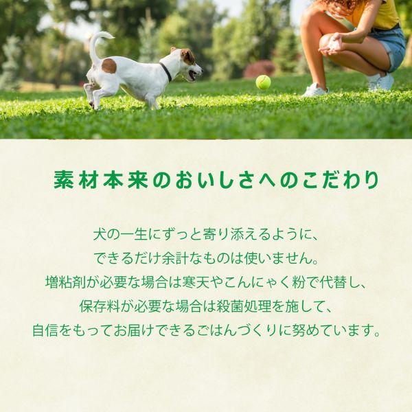 ヤムヤムヤム 馬肉 やわらかドライタイプ 800g ×2個 yum yum yum ! ドッグフード 全年齢 4571245859440の画像