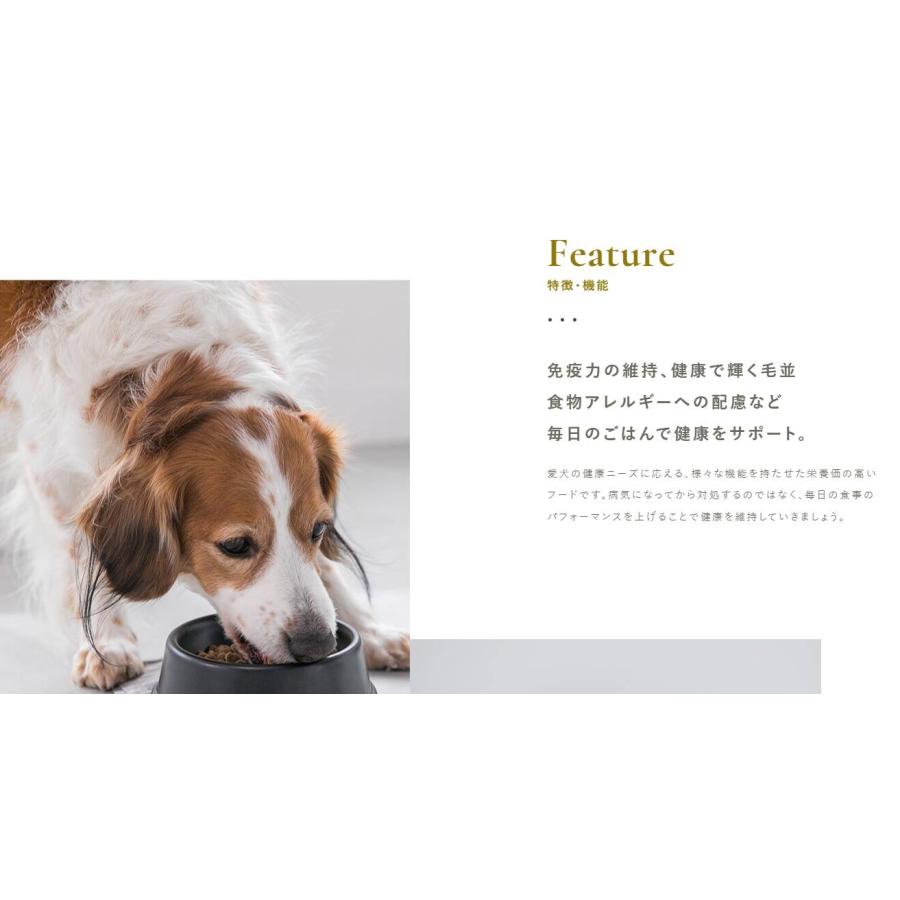 プロフェッショナル・バランス 超小粒 １歳まで 子いぬ用 4.8kg ×2個 ドッグフード 4902418059549の画像