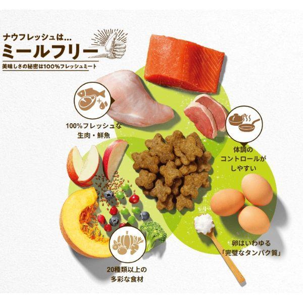 NOW FRESH ナウフレッシュ グレインフリー スモールブリード フィッシュアダルト 2.3kg ×2個 ドッグフード 4573160559023 | NOW FRESH | 03