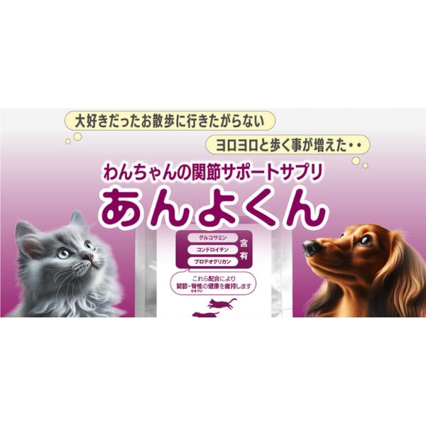 あんよくん 140mg 120粒 ×3個 スケアクロウ 動物用 サプリメント | スケアクロウ（ペット用品） | 02