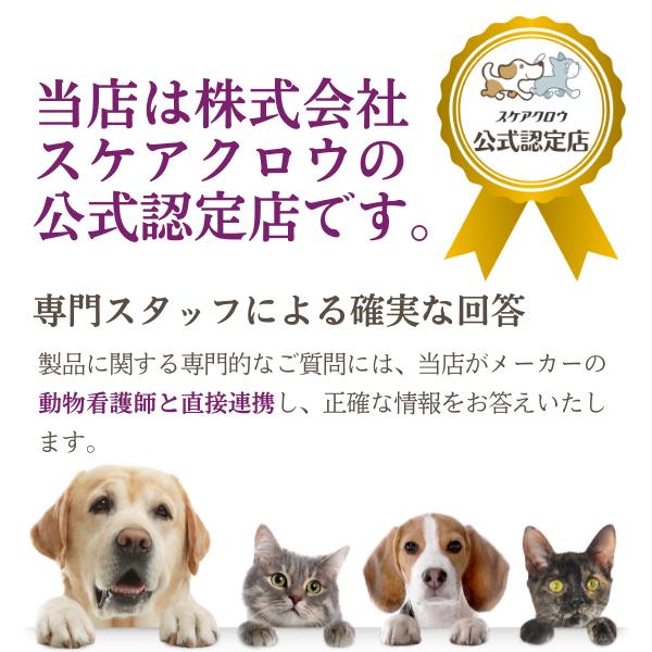 あんよくん 140mg 120粒 ×3個 スケアクロウ 動物用 サプリメント | スケアクロウ（ペット用品） | 01