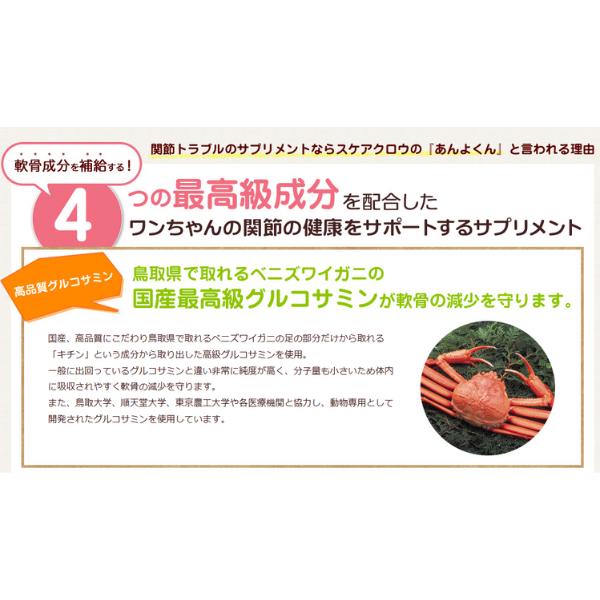 あんよくん 140mg 120粒 ×3個 スケアクロウ 動物用 サプリメント | スケアクロウ（ペット用品） | 04