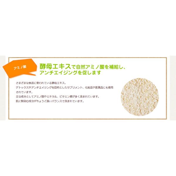あんよくん 140mg 120粒 ×3個 スケアクロウ 動物用 サプリメント | スケアクロウ（ペット用品） | 06