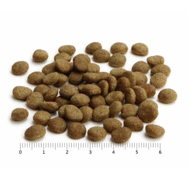 プロフェッショナル・バランス 7歳から高齢犬用 6kg ドッグフード