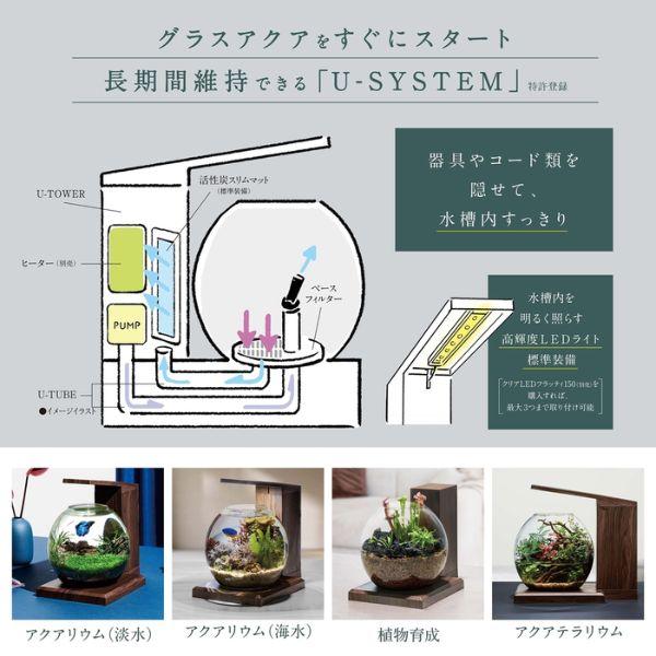 中型アクアテラリウム グラステラリウムヒーター スポットライト GEX（ジェックス） グラスアクア PERCO B-Dark Wood オールインワン
