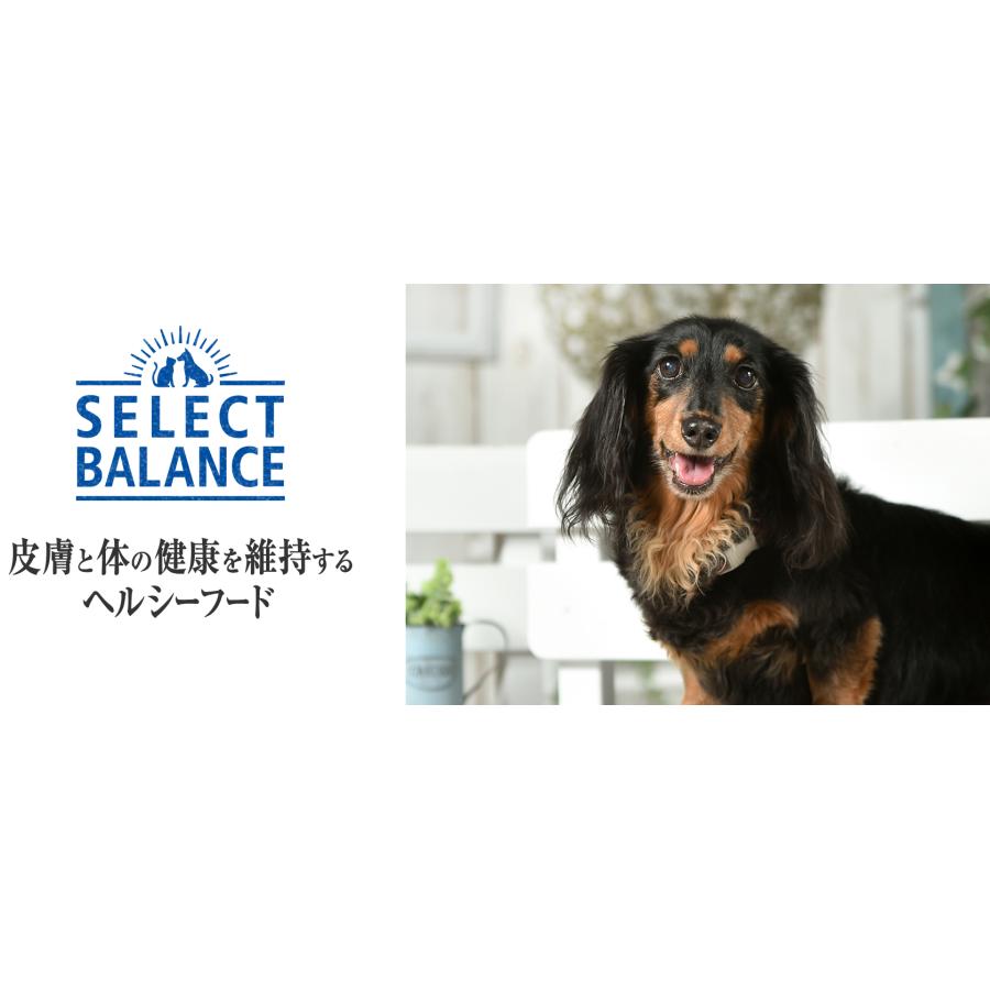 SELECT BALANCE セレクトバランス スリム チキン 成犬の体重管理用