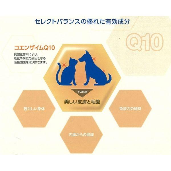 セレクトバランス スリム チキン 小粒 3kg 成犬の体重管理用 減量 ダイエット ドッグフード | SELECT BALANCE | 06