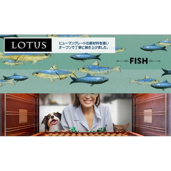 ロータス LOTUS グレインフリー フィッシュレシピ 小粒 5kg