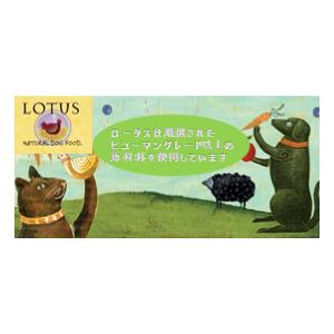 ロータス グレインフリー フィッシュレシピ 小粒 5kg : pet