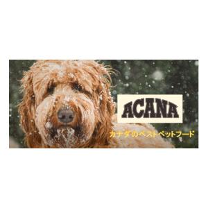 ACANA（アカナ） シニア ドッグ レシピ 2kg ドッグフード 正規品
