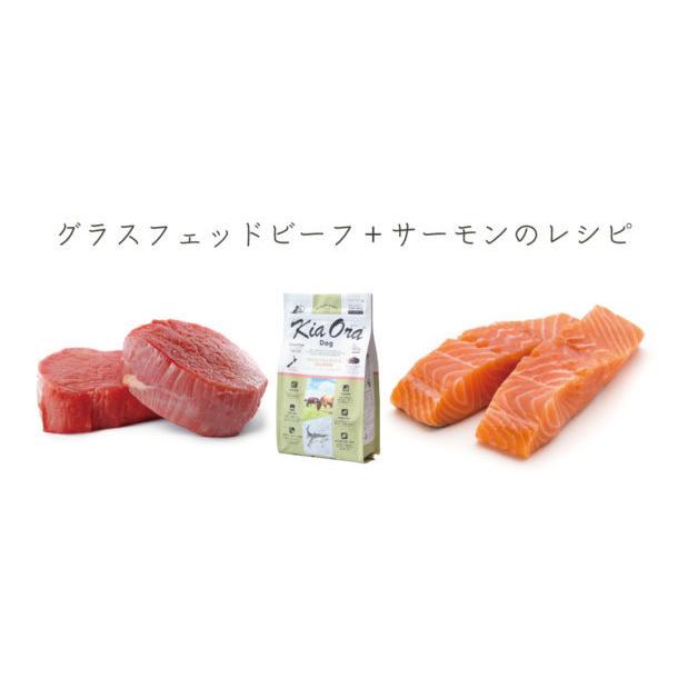 キアオラ KiaOra グラスフェッドビーフ＆サーモン 9.5kg ×2個 ドッグフード | Kia Ora | 05