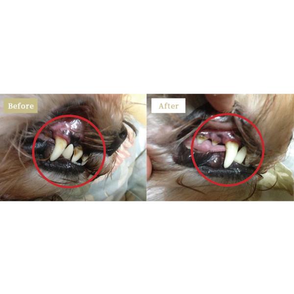 Pet-Cool（ペットクール） 【公認店】Pet-Cool Breath Care 50ml ×2個