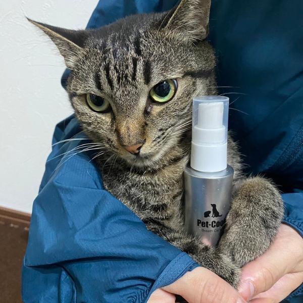 Pet-Cool（ペットクール） 【公認店】Pet-Cool Breath Care Trial Size