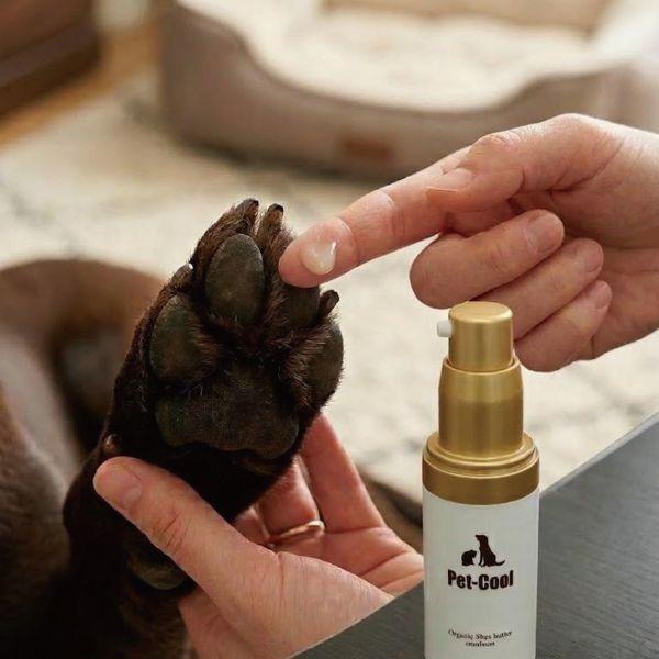 Pet-Cool（ペットクール） 【公認店】Pet-Cool Organic Shea butter