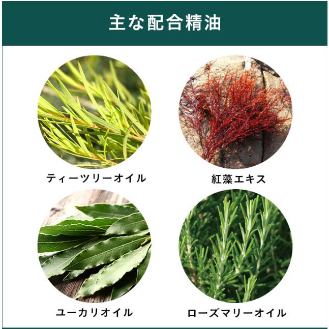APDC 公認店 ドッグ ティーツリーコンディショナー 500ml ×3個 犬用 コンディショナー たかくら新産業 | たかくら新産業 | 02