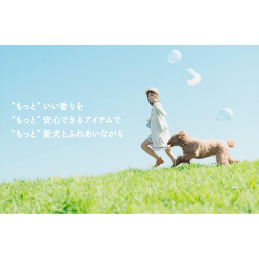 APDC 公認店 ドッグ ティーツリーコンディショナー 500ml ×3個 犬用 コンディショナー たかくら新産業 | たかくら新産業 | 03