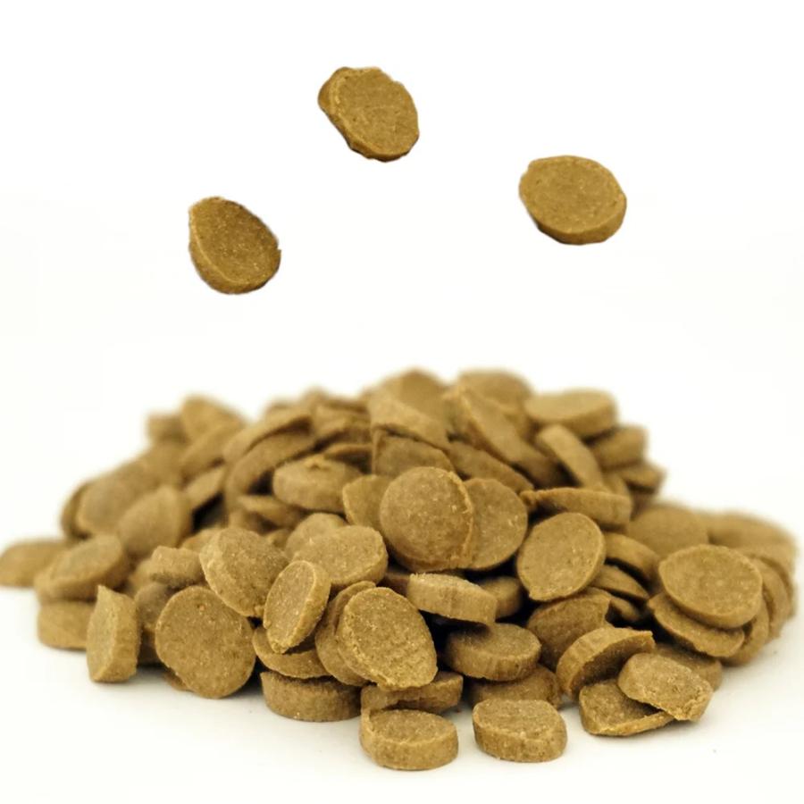 11/28より値上げ　スマイリー ドッグフード 国産ポーク 5kg 4562305934085