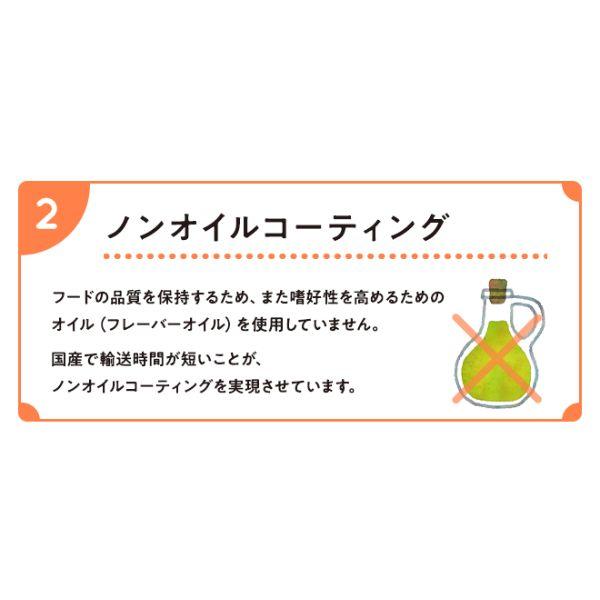 11/28より値上げ　スマイリー ドッグフード 国産ポーク 5kg 4562305934085