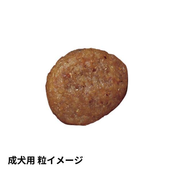 ソルビダ（SOLVIDA） 【選べるおまけ付き】 グレインフリー チキン