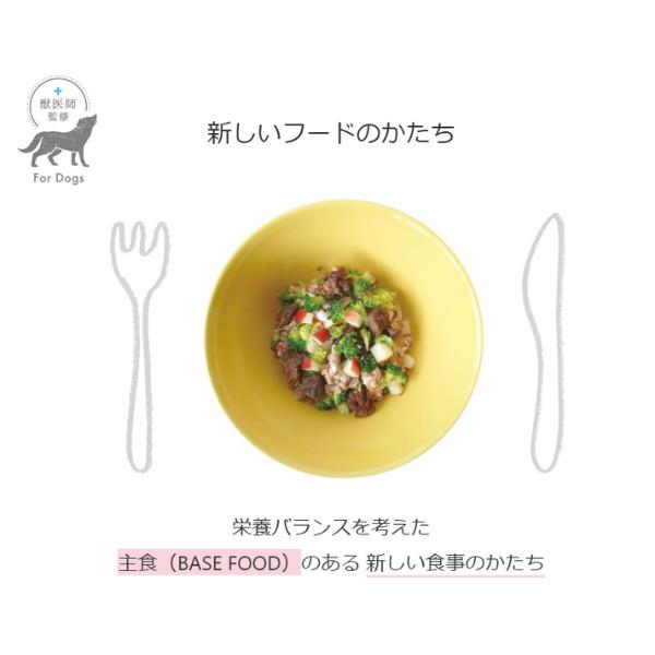 ホワイトフォックス ベースデリ フルーツ 500g×3個 国産 無添加 手作り