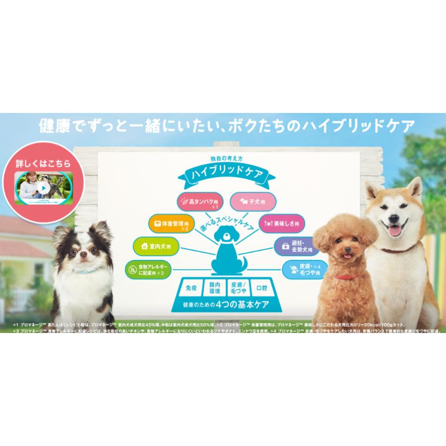 ボーナスストア10%！ プロマネージ 成犬用 ゴールデンレトリーバー専用 4kg 4902397854210｜petoukoku｜02