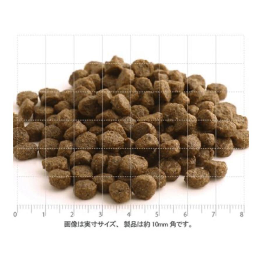 フィッシュ4 ドッグ ファイネスト サーモン 小粒 6kg グレインフリー ドッグフード | フィッシュ4 | 01