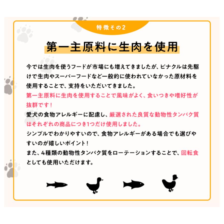 ボーナスストア10%！ ピナクル サーモン&パンプキン with サーモンボーンブロス 8.0kg 4988269130583｜petoukoku｜05