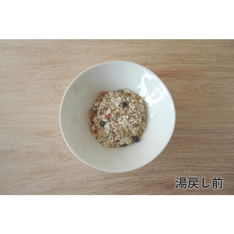 ホワイトフォックス ベースデリ フルーツ 500g 国産 無添加 手作りごはん |  | 02