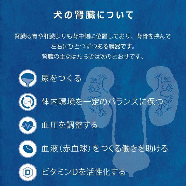 ヤムヤムヤム 健康マネジメント 腎臓 1.3kg yum yum yum