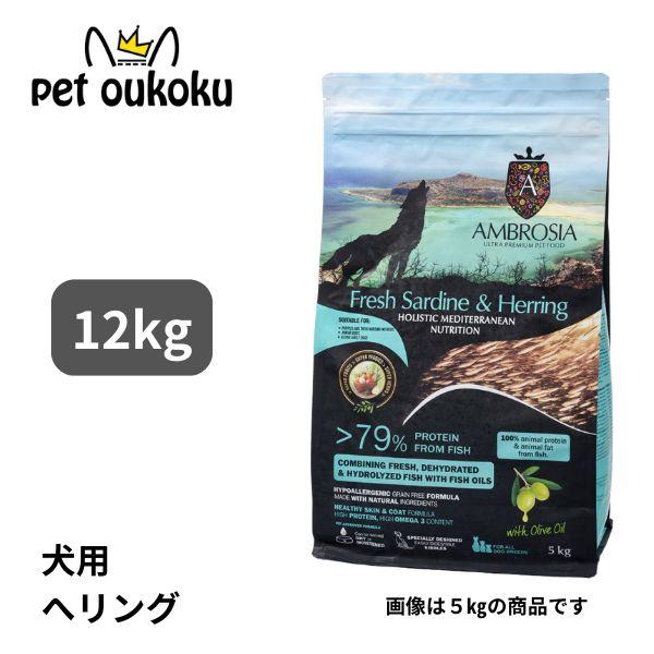 AMBROSIA（アンブロシア） HMN サーディン＆ヘリング オリーブオイル