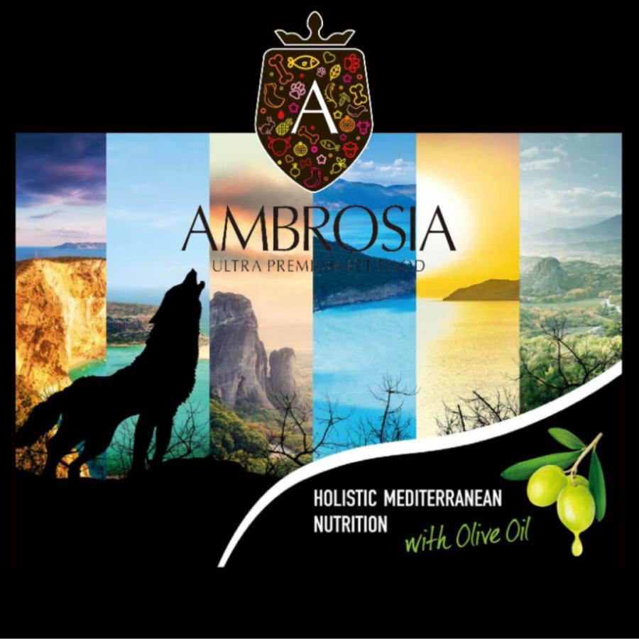 AMBROSIA（アンブロシア） HMN サーディン＆ヘリング オリーブオイル