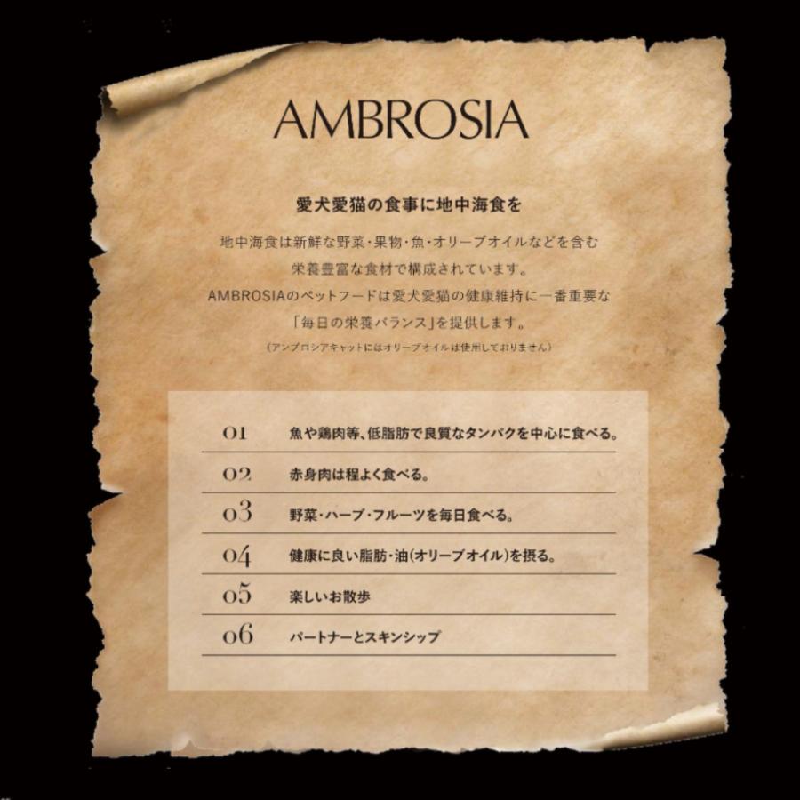 AMBROSIA（アンブロシア） HMN サーディン＆ヘリング オリーブオイル