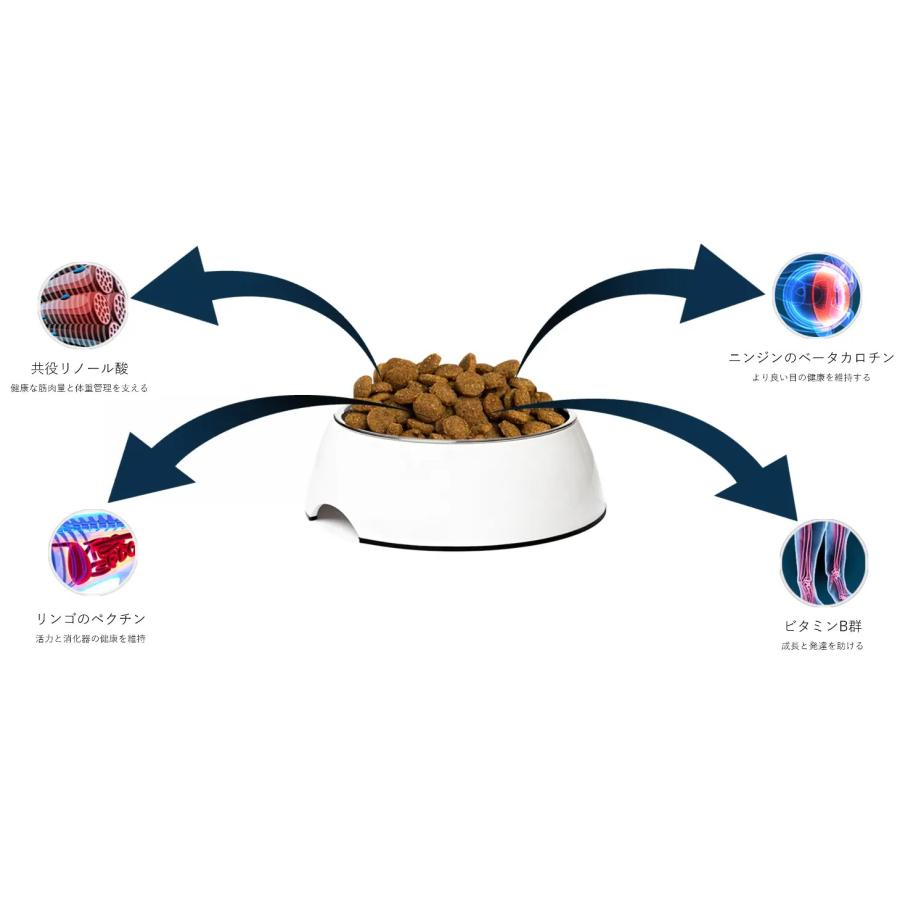 YKエンタープライズ アディクション ドッグ ワイルドカンガルー
