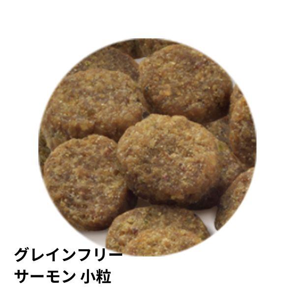 【選べるおまけ付き】 セレクトバランス グレインフリー アダルトサーモン 小粒 1才以上の成犬用 6kg ドッグフードの画像