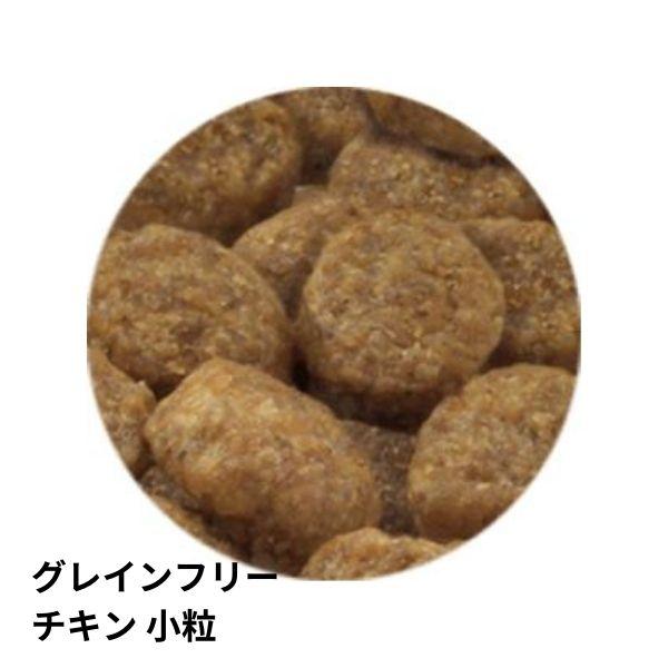 セレクトバランス グレインフリー アダルト チキン 小粒 1才以上の成犬用 6kg ×2個セット ドッグフード | SELECT BALANCE | 01