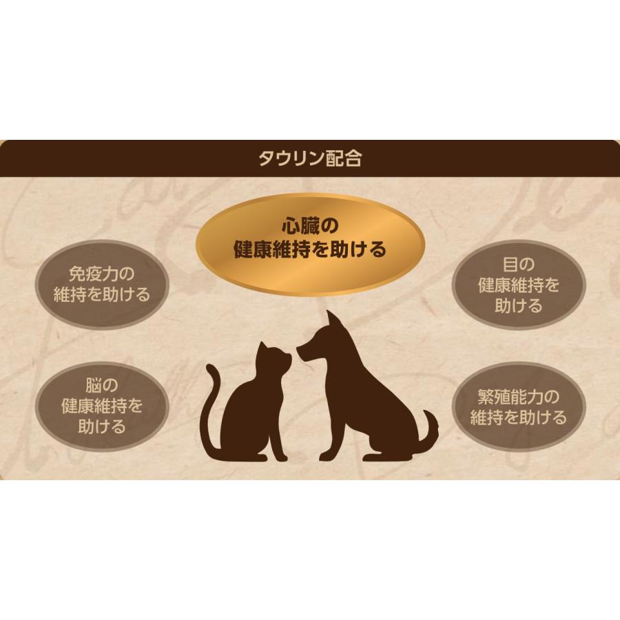 セレクトバランス グレインフリー アダルト チキン 小粒 1才以上の成犬用 6kg ×2個セット ドッグフード | SELECT BALANCE | 06