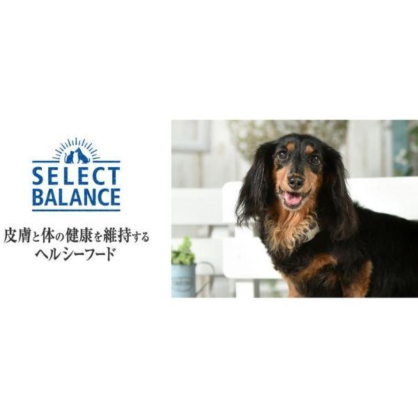 セレクトバランス グレインフリー アダルト チキン 小粒 1才以上の成犬用 6kg ×2個セット ドッグフード | SELECT BALANCE | 08