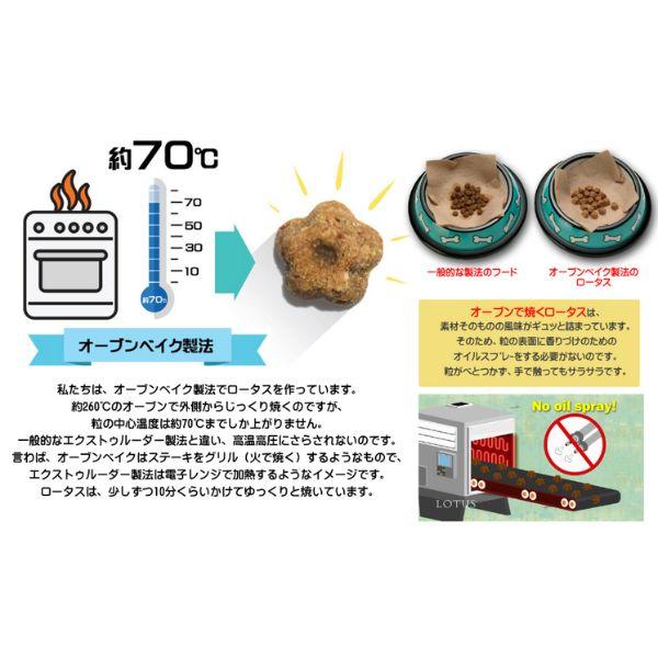 ロータス LOTUS グレインフリー フィッシュレシピ 小粒 5kg ×2個セット ドッグフード | ロータス | 04