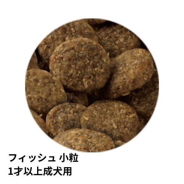 セレクトバランス グリーンレシピ ホワイトフィッシュ 小粒 アダルト 1才以上 成犬用 2.4kg ドッグフード | SELECT BALANCE | 01