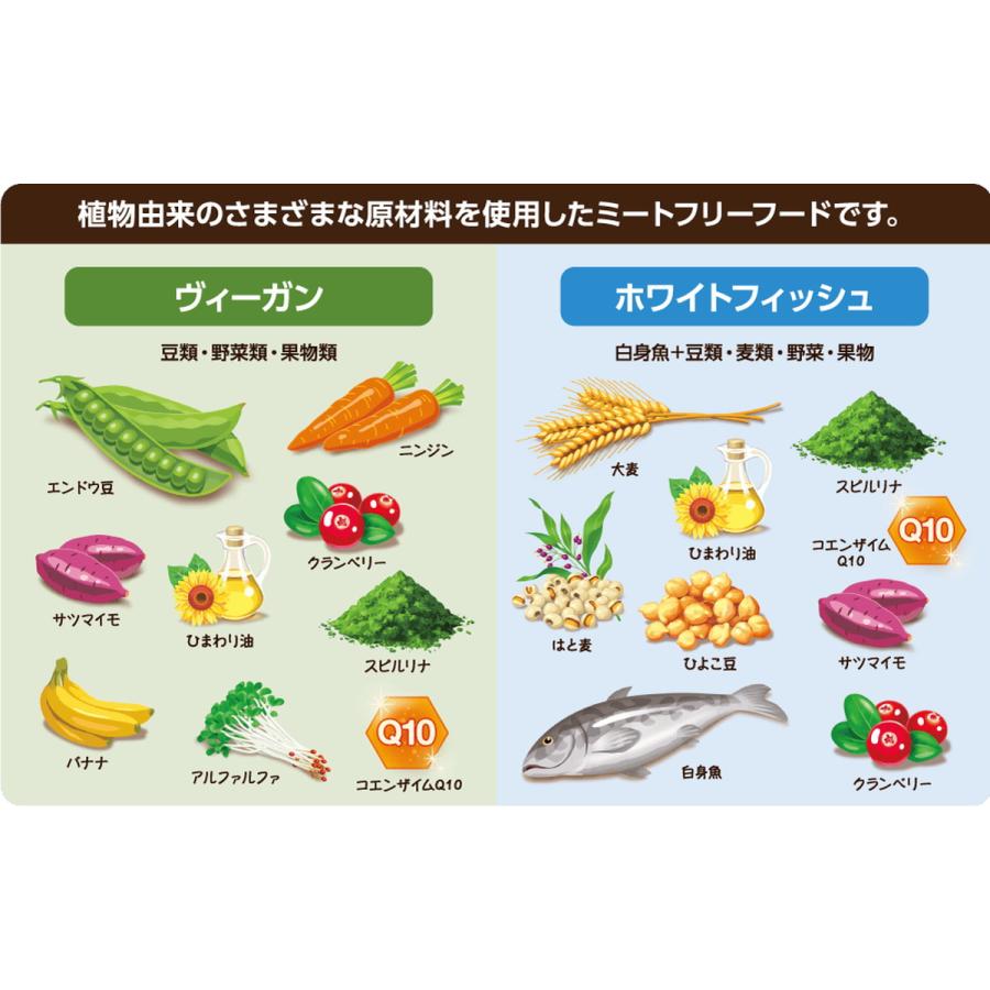 セレクトバランス グリーンレシピ ホワイトフィッシュ 小粒 アダルト 1才以上 成犬用 2.4kg ドッグフード | SELECT BALANCE | 06