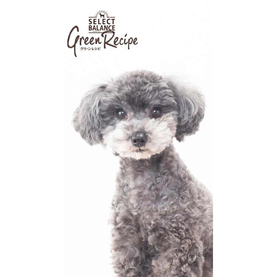 セレクトバランス グリーンレシピ ホワイトフィッシュ 小粒 アダルト 1才以上 成犬用 2.4kg ドッグフード | SELECT BALANCE | 09