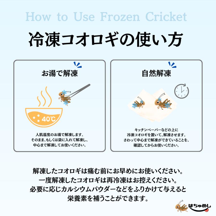 送料無料 国産冷凍コオロギ】選べるサイズ 2カップ 詰め合わせ